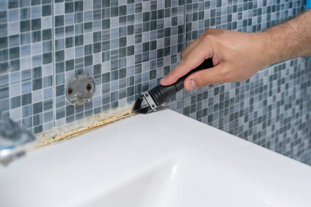 Best White Mold Remediation in Mastic Beach, NY