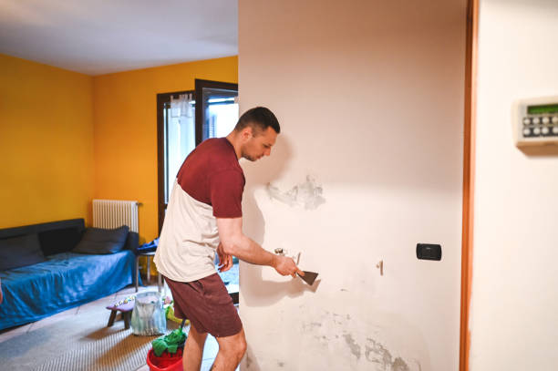 Best Localized Mold Remediation (e.g., coastal areas, humid climates) in Mastic Beach, NY